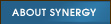 About Synergy Unlimited